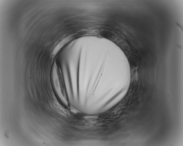 X0000100340051200806261336