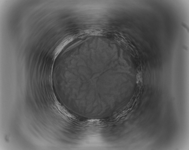 X0000100340052200806261336