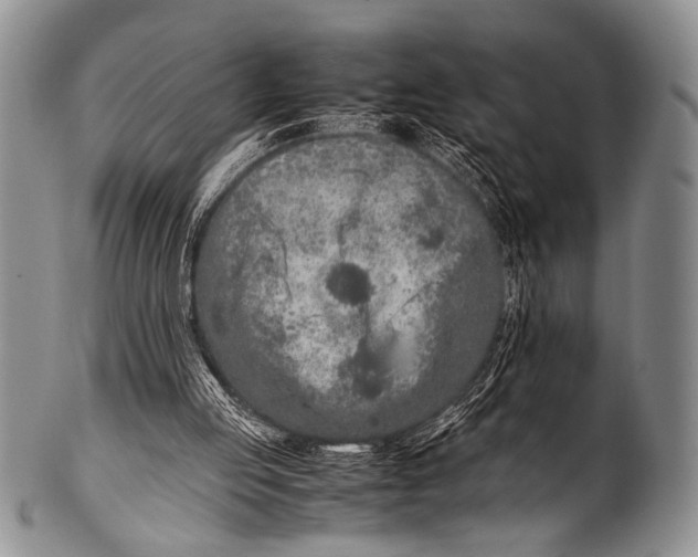 X0000100340053200806261336