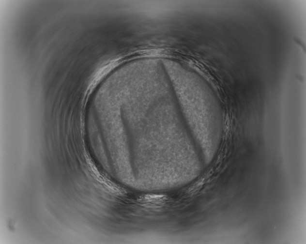 X0000100340055200806261336