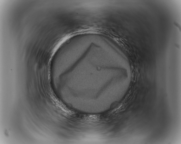 X0000100340056200806261336