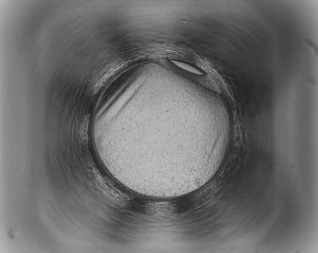 X0000100340058200806261336