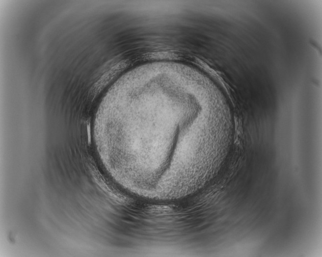 X0000100340061200806261337