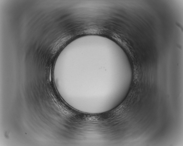 X0000100340062200806261337