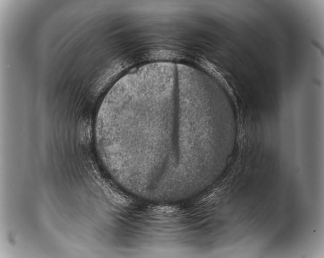 X0000100340063200806261337