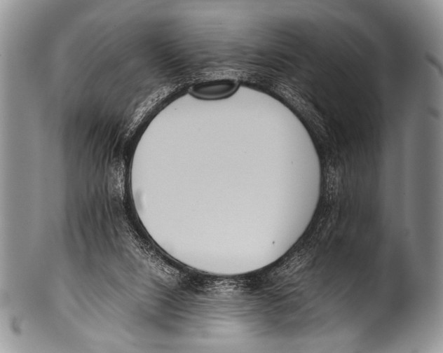 X0000100340064200806261337