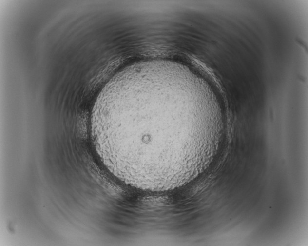 X0000100340065200806261337