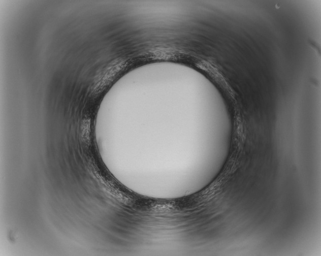 X0000100340066200806261337