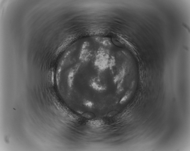 X0000100340067200806261337