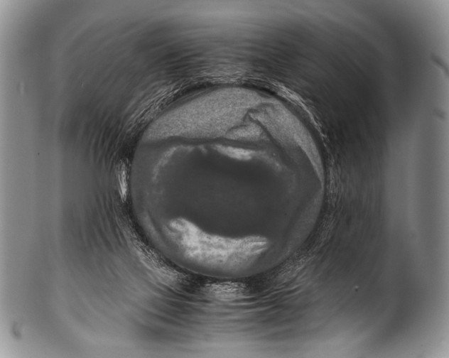 X0000100340069200806261337