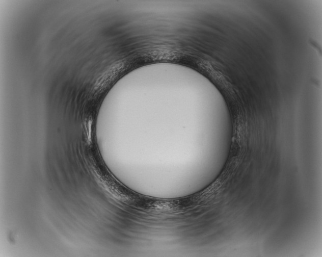 X0000100340070200806261337