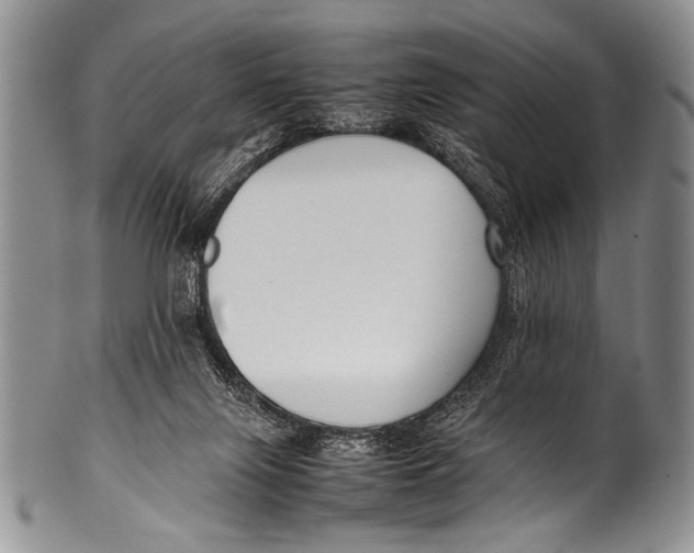 X0000100340071200806261337