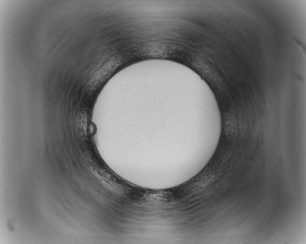 X0000100340072200806261337