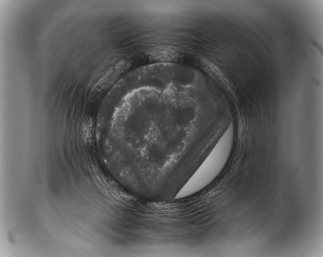 X0000100340073200806261337