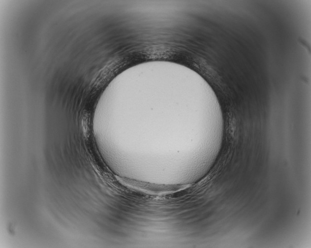 X0000100340074200806261337