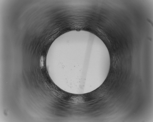 X0000100340075200806261337