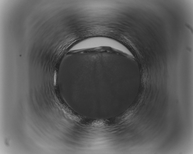 X0000100340076200806261337