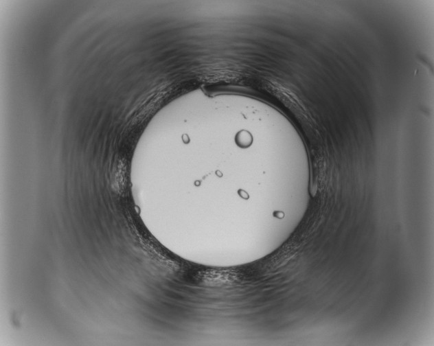 X0000100340077200806261337