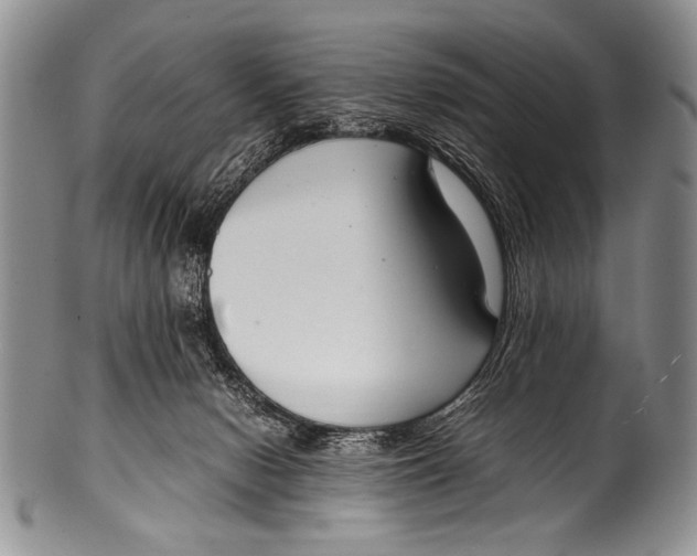 X0000100340078200806261337