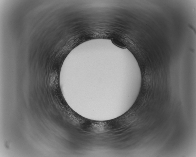 X0000100340079200806261337