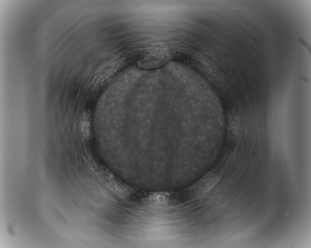 X0000100340080200806261337