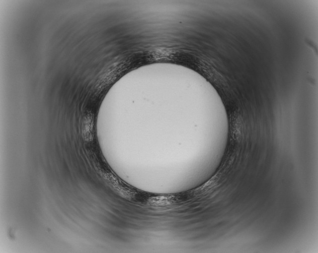 X0000100340082200806261337