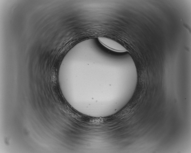 X0000100340084200806261337