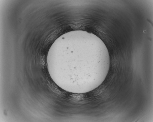 X0000100340085200806261337