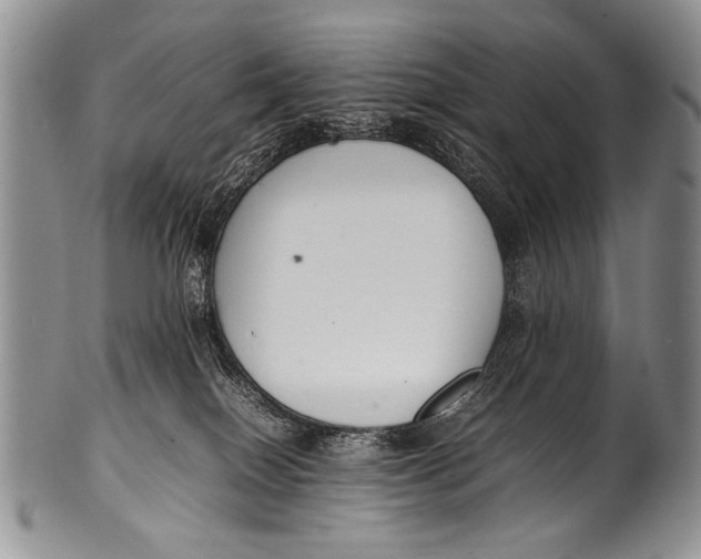 X0000100340086200806261337