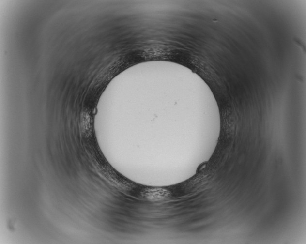 X0000100340087200806261337