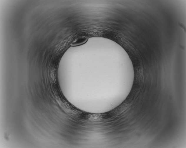 X0000100340088200806261337