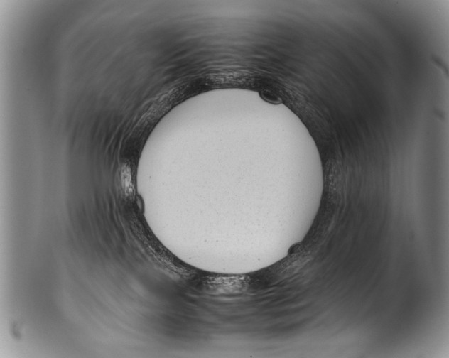 X0000100340089200806261337