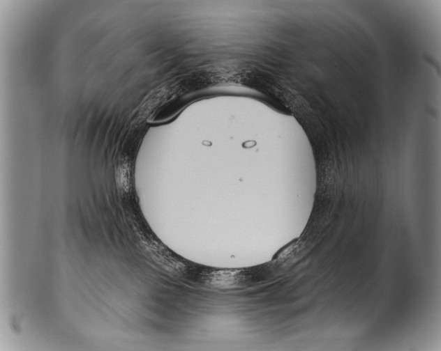 X0000100340090200806261337