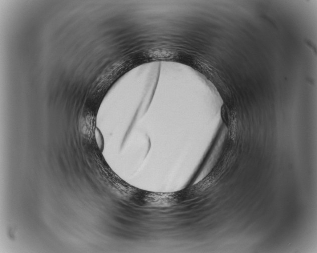 X0000100340093200806261337