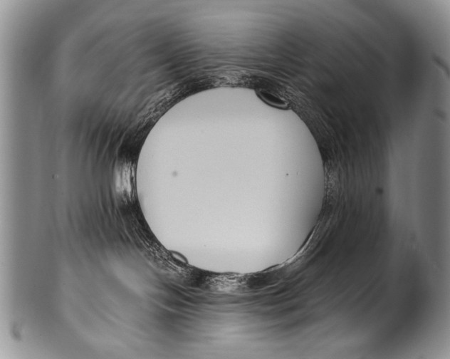 X0000100340094200806261337