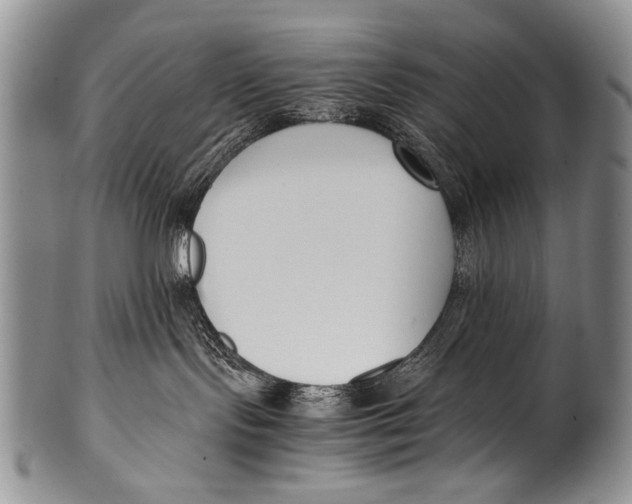 X0000100340095200806261337