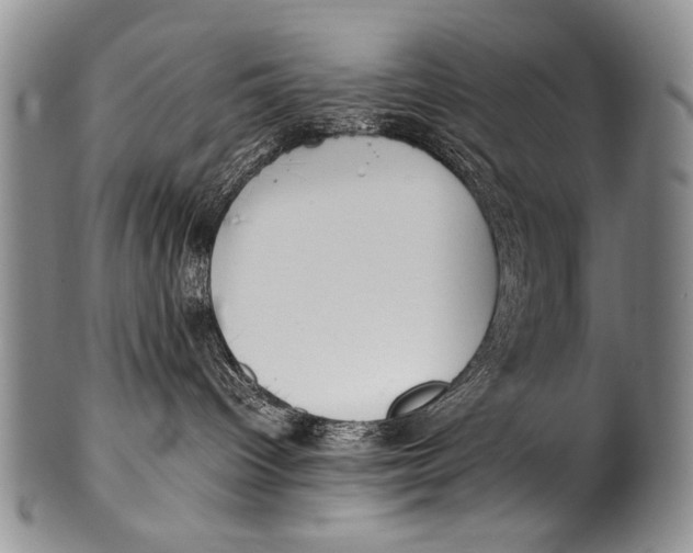 X0000100340096200806261337