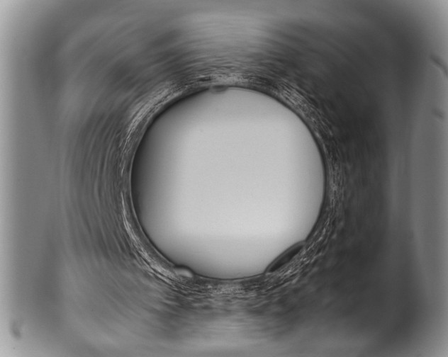 X0000100340097200806261336