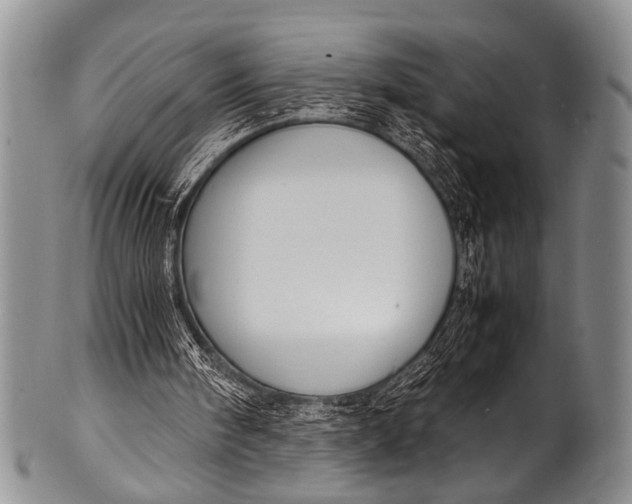 X0000100340098200806261336