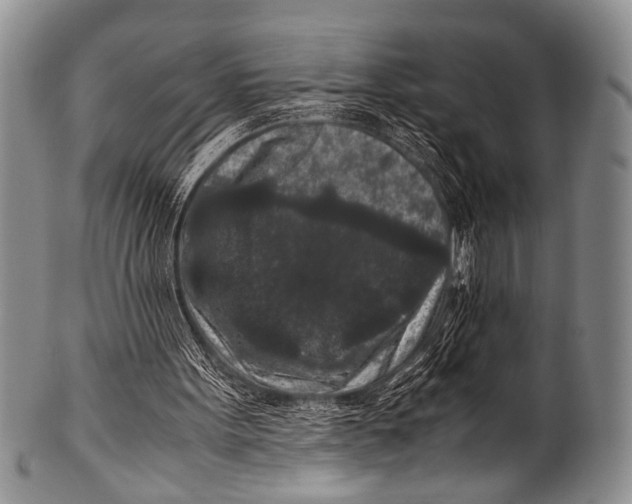 X0000100340099200806261336