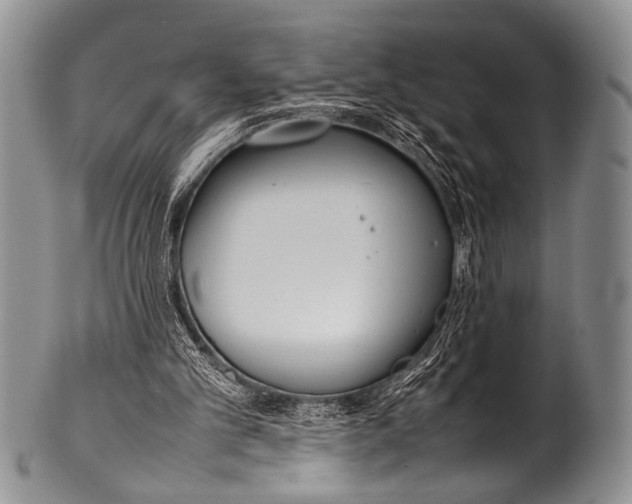 X0000100340101200806261336