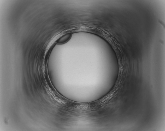 X0000100340102200806261336