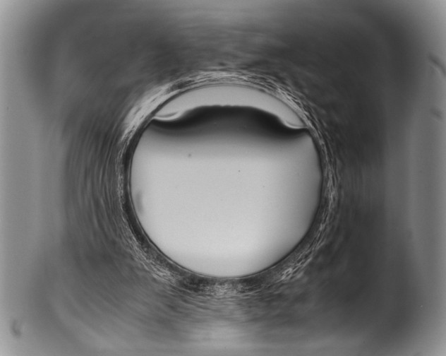 X0000100340103200806261336