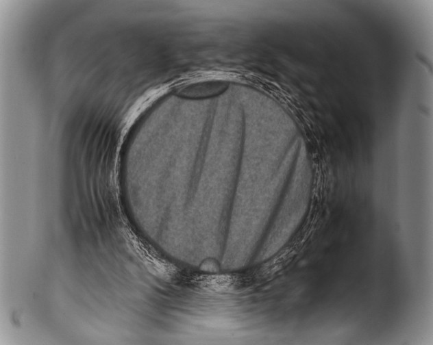 X0000100340104200806261336