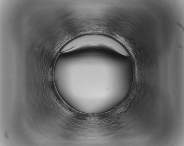 X0000100340105200806261336