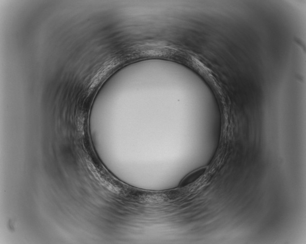 X0000100340106200806261336