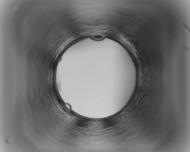 X0000100340107200806261336