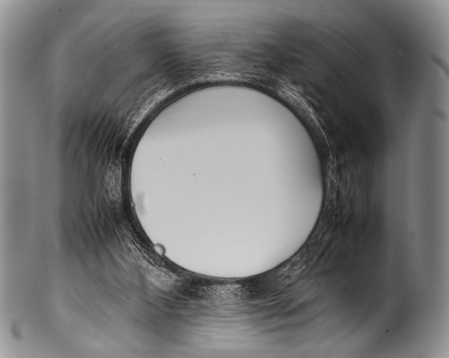 X0000100340108200806261336