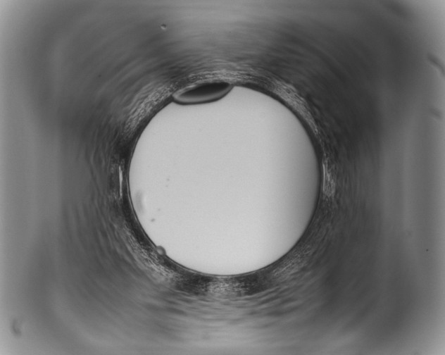 X0000100340109200806261336