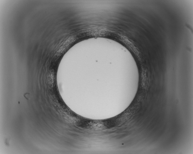 X0000100340113200806261336